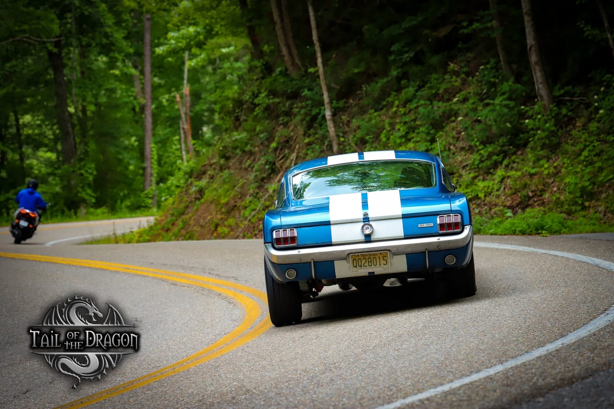 Blue on the Tail of the Dragon, seen from behind